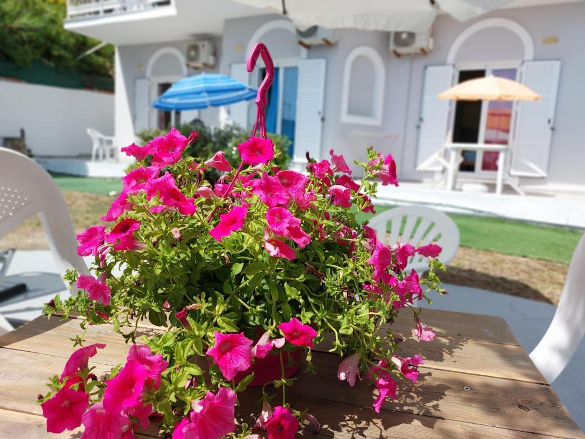Leta Apartments Agios Georgios  Ngoại thất bức ảnh